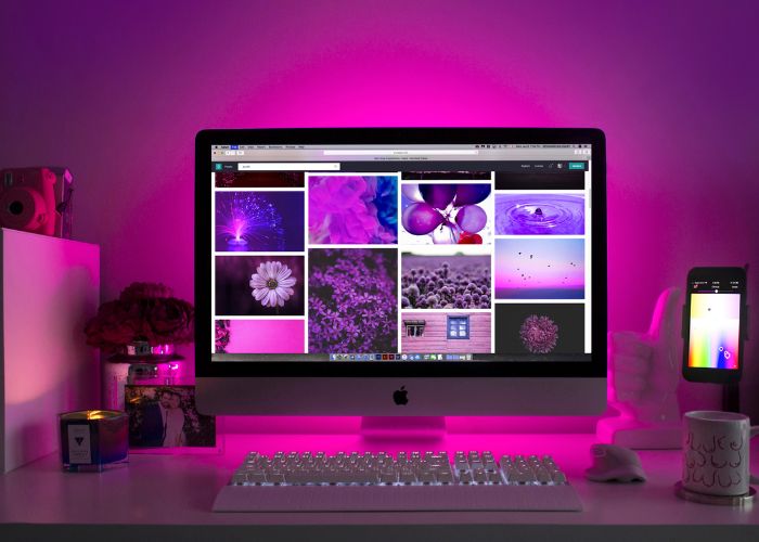 diseñadores de páginas web en tijuana